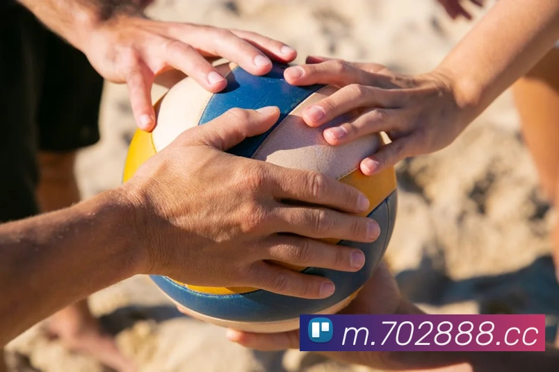 战术分析频道